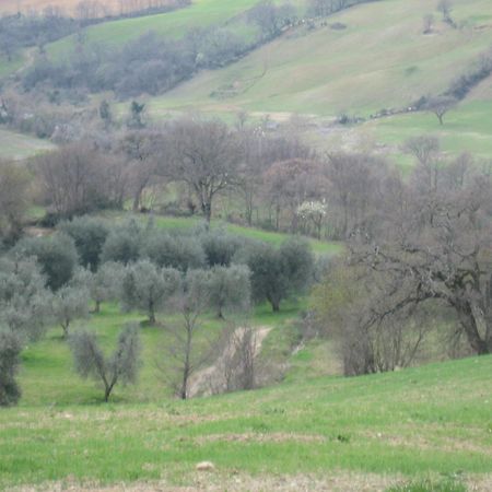 Agriturismo Casa Fibbianello Semproniano Eksteriør billede