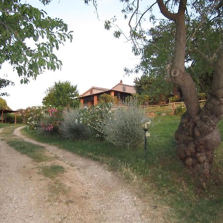 Agriturismo Casa Fibbianello Semproniano Eksteriør billede