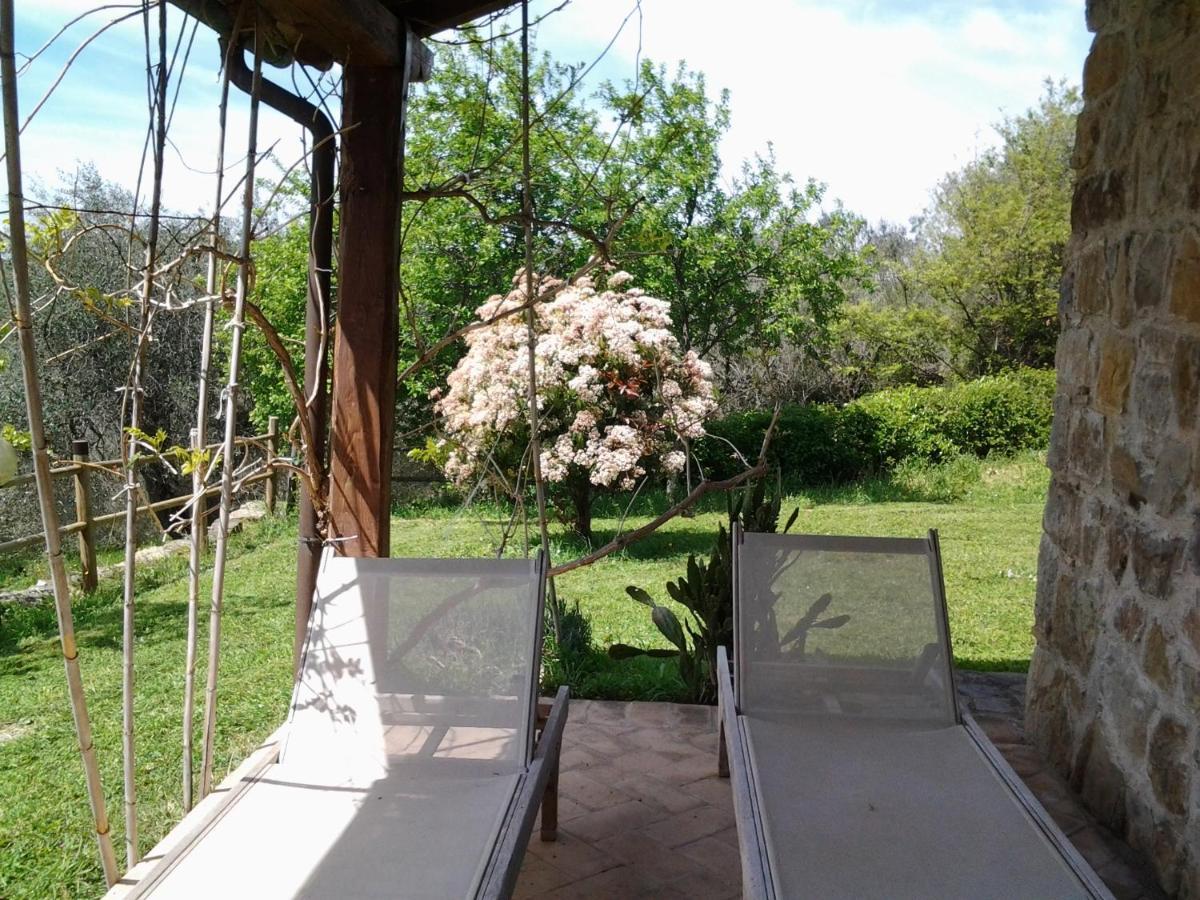 Agriturismo Casa Fibbianello Semproniano Eksteriør billede