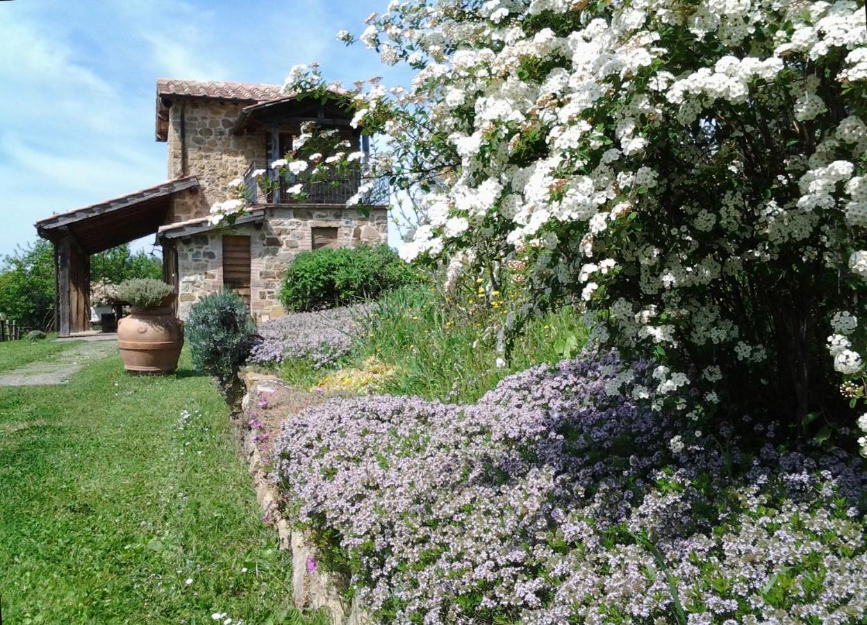 Agriturismo Casa Fibbianello Semproniano Eksteriør billede
