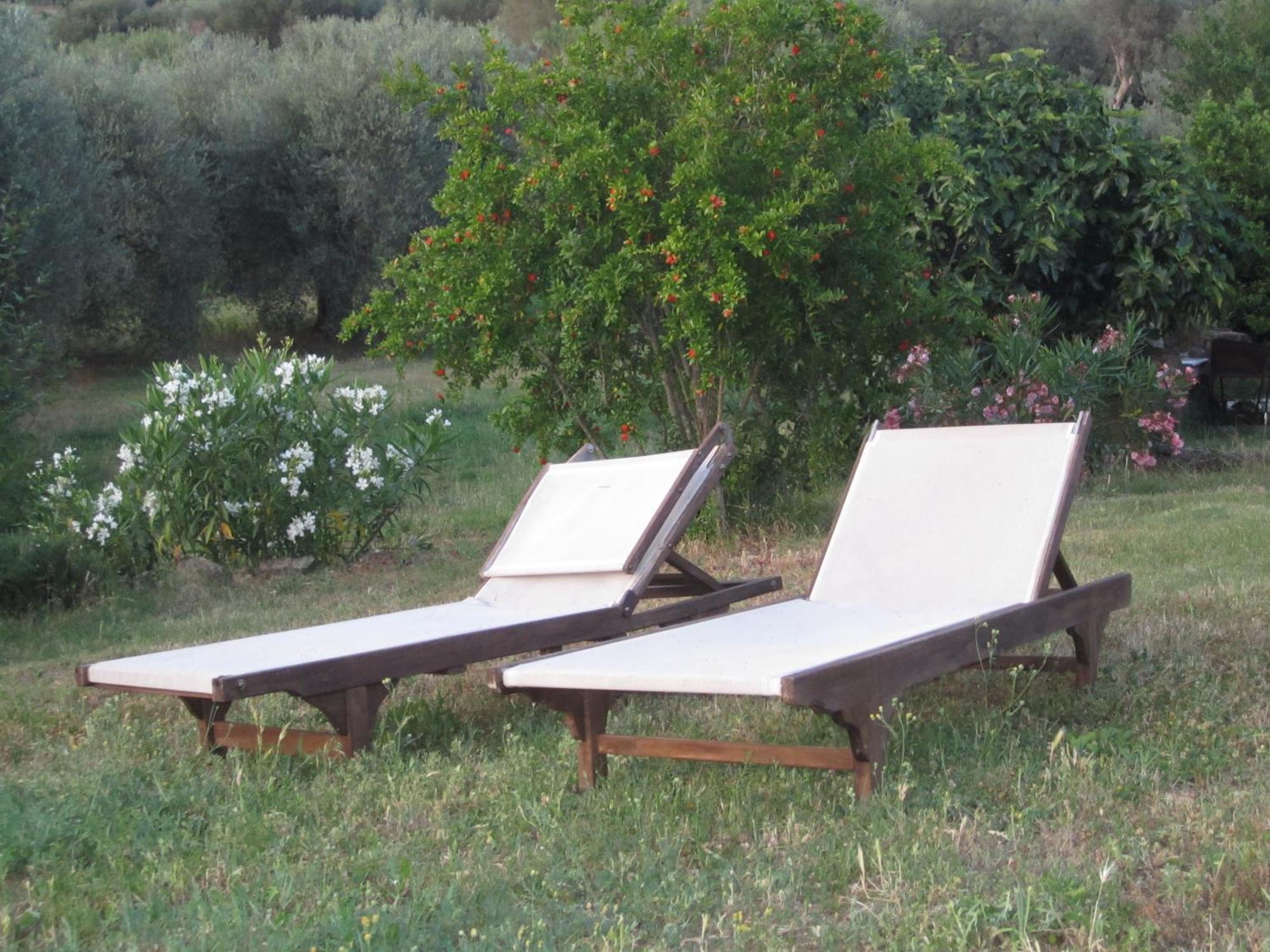 Agriturismo Casa Fibbianello Semproniano Eksteriør billede