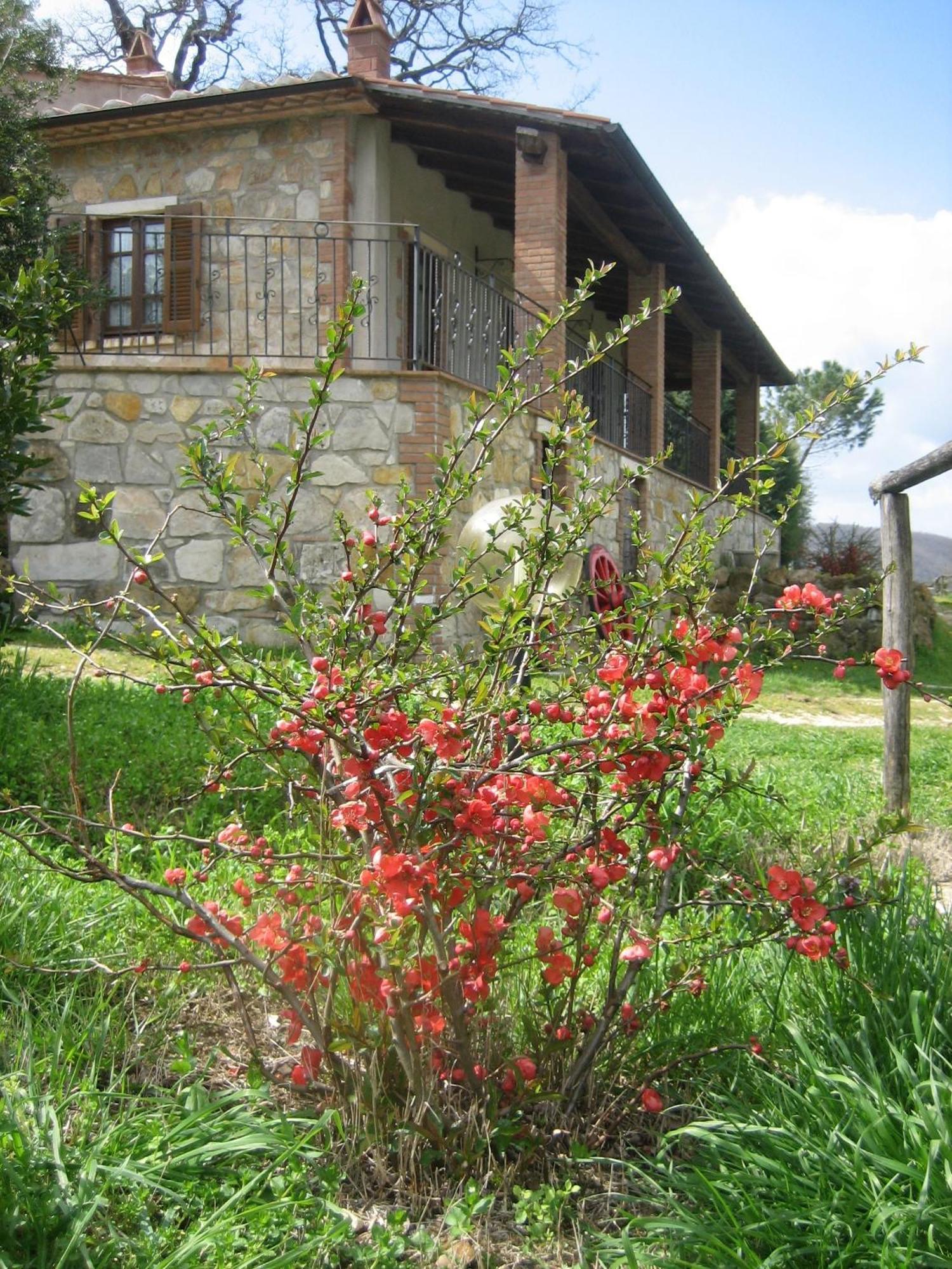Agriturismo Casa Fibbianello Semproniano Eksteriør billede