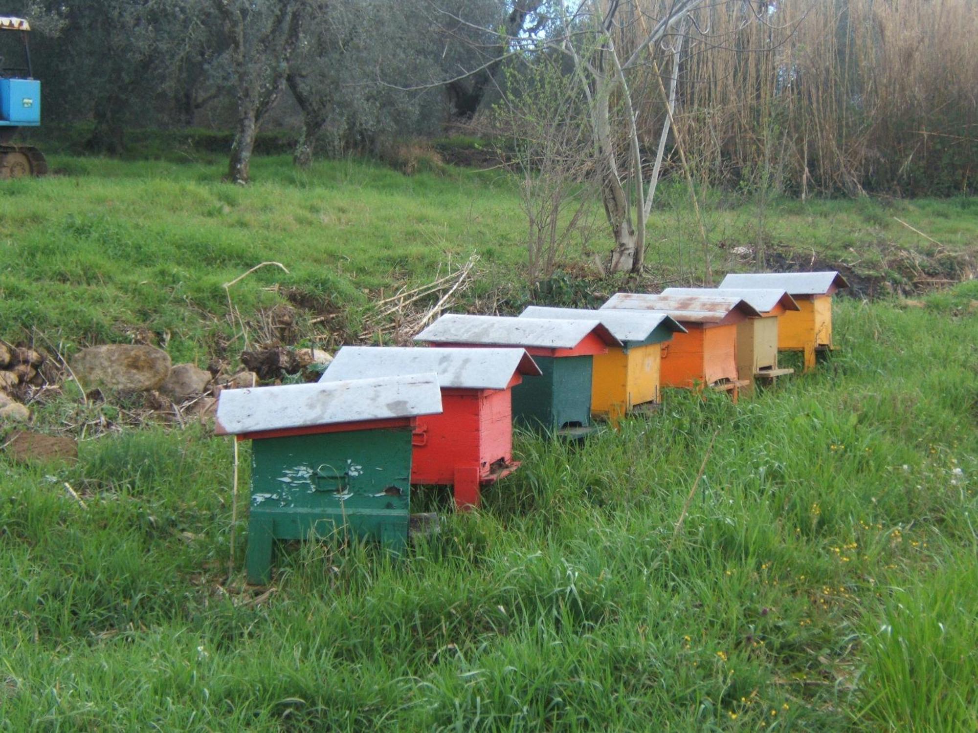 Agriturismo Casa Fibbianello Semproniano Eksteriør billede