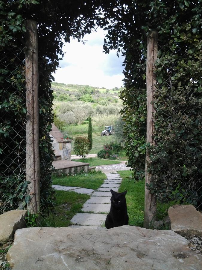 Agriturismo Casa Fibbianello Semproniano Eksteriør billede
